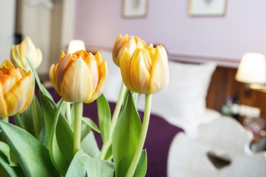 Elch Hotel Norimberga
